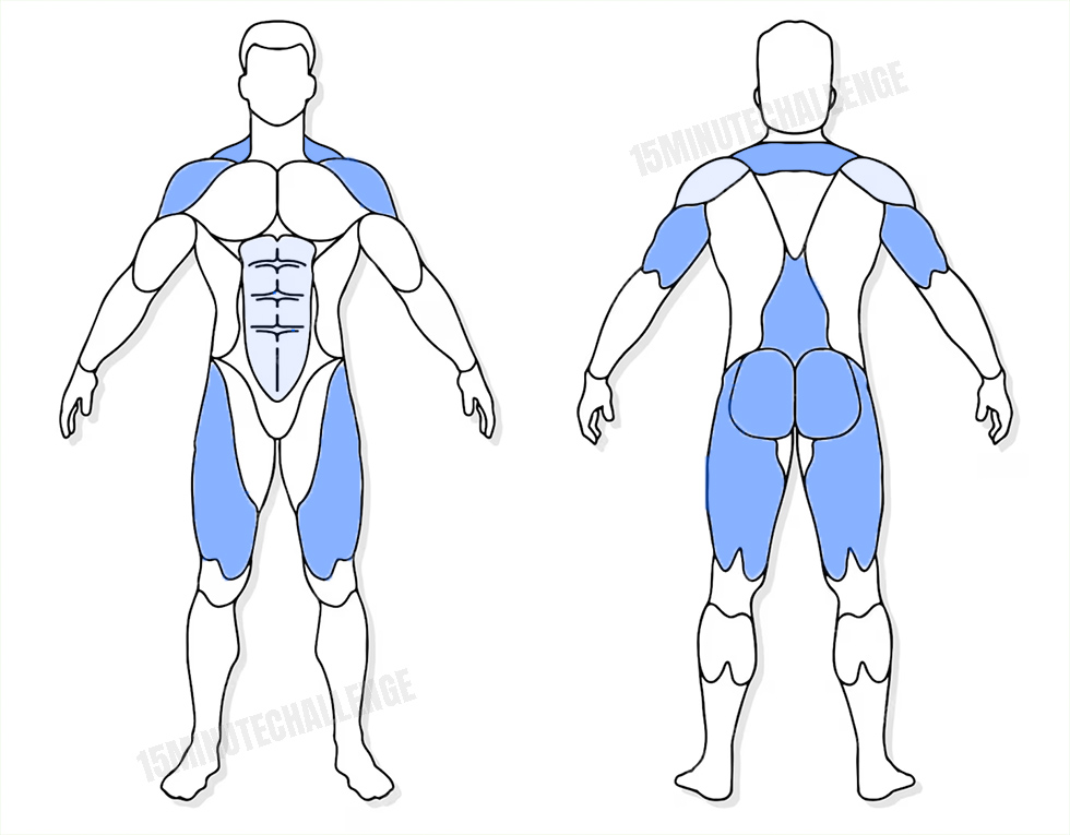 visuel anatomique des muscles sollicités par les Jumping Jack visuel anatomique des muscles sollicités par l'exercice du Deadlift Clean and Press avec Haltères