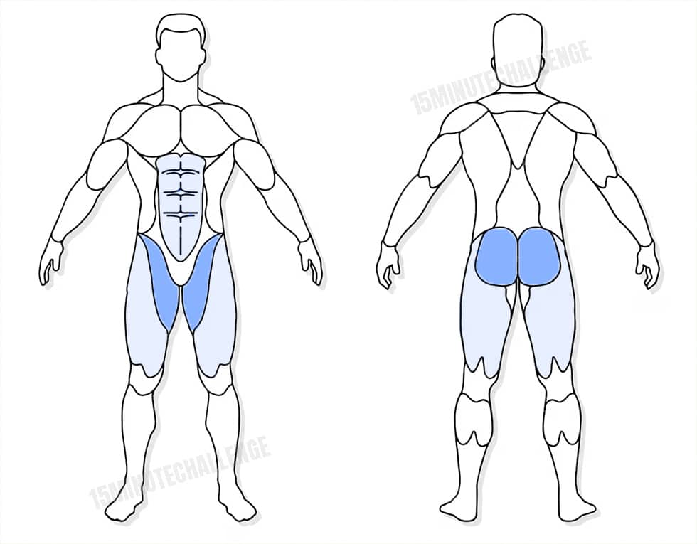 visuel anatomique des muscles sollicités par l'exercice des Elevations latérales jambes tendues
