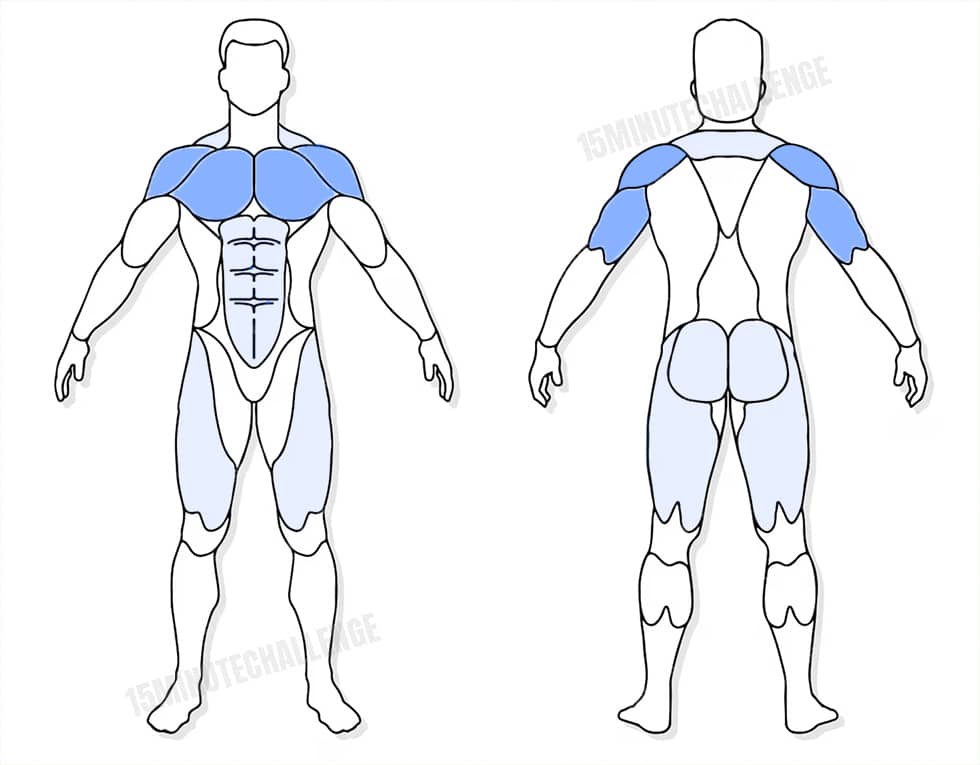 visuel anatomique des muscles sollicités par l'exercice du Inchworms