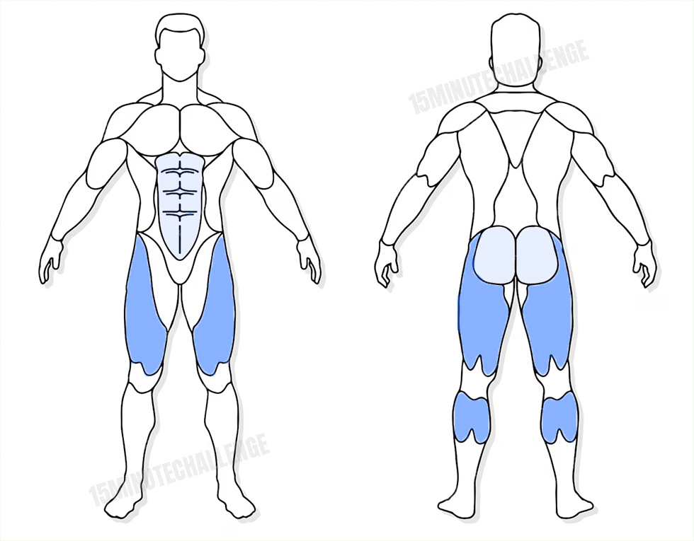 visuel anatomique des muscles sollicités par l'exercice du Sprint sur Place