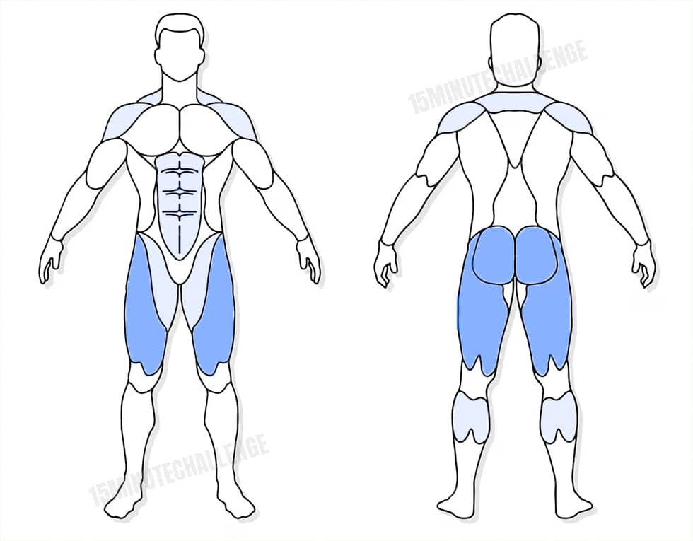 visuel anatomique des muscles sollicités par les Jumping Jack visuel anatomique des muscles sollicités par l'exercice des Squat Jumps en X