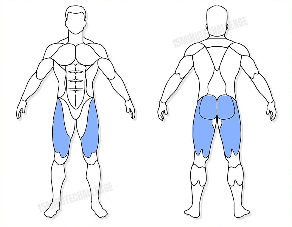 visuel anatomique des muscles sollicités par l'exercice du Sumo deadlift (1 haltère)