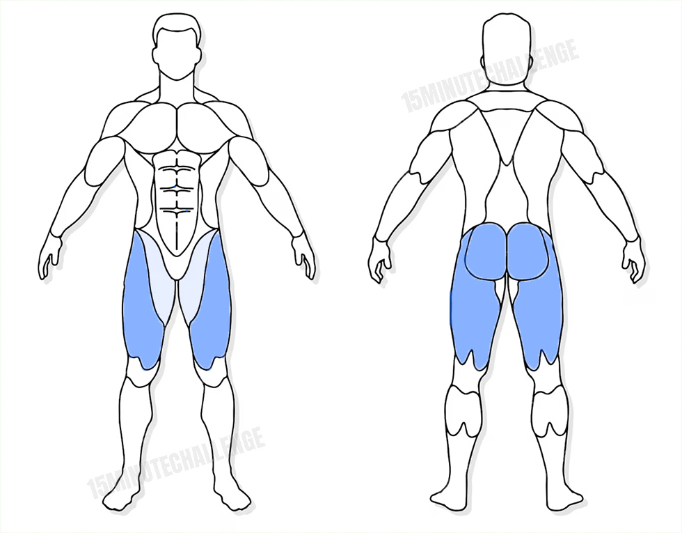 visuel anatomique des muscles sollicités par l'exercice du Sumo deadlift (2 haltères)
