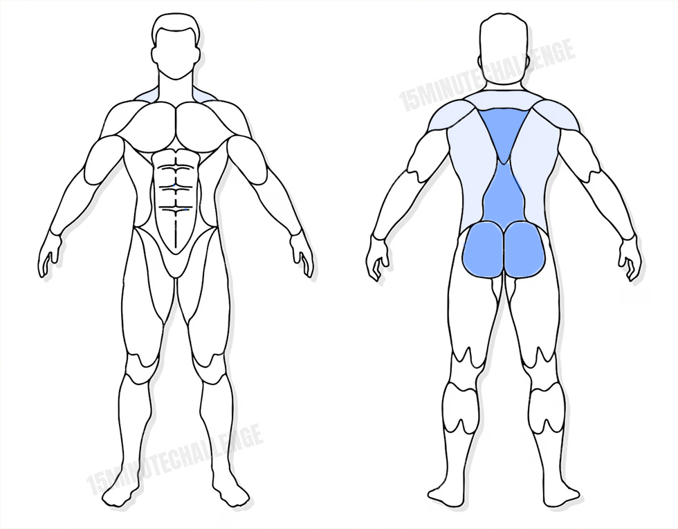 visuel anatomique des muscles sollicités par l'exercice du Superman Star