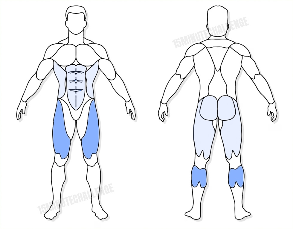 visuel anatomique des muscles sollicités par l'exercice du Fast Feet