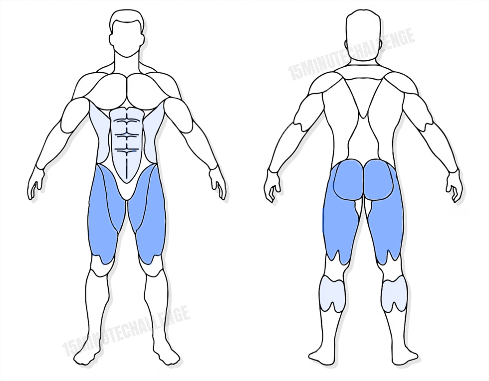 visuel anatomique des muscles sollicités par les Jumping Jack visuel anatomique des muscles sollicités par l'exercice des Fentes latérales avec haltères alternée