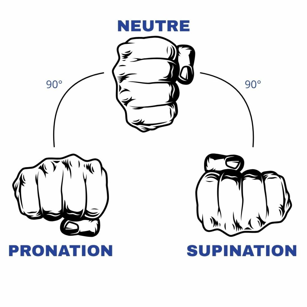 différence des prises : supination, neutre et pronation